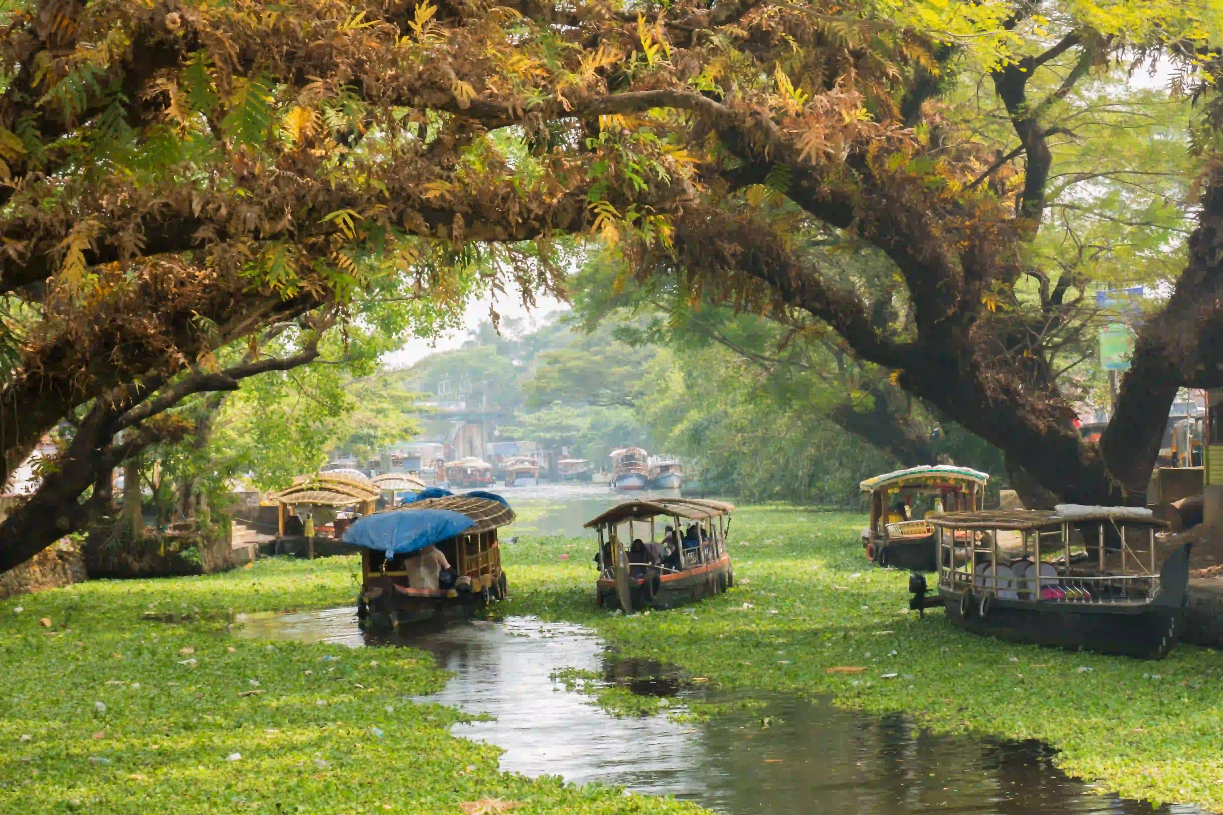 Delhi Agra Jaipur Kerala Tour – 12 Days